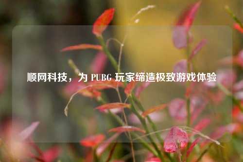 顺网科技，为 PUBG 玩家缔造极致游戏体验