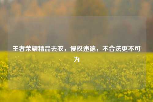 王者荣耀精品去衣，侵权违德，不合法更不可为