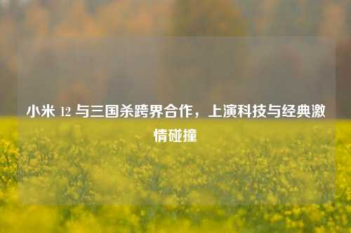 小米 12 与三国杀跨界合作，上演科技与经典激情碰撞