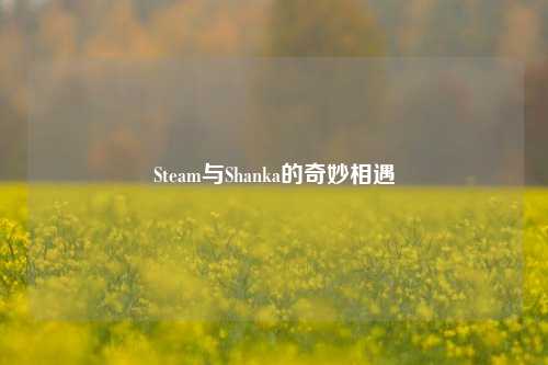 Steam与Shanka的奇妙相遇