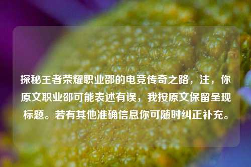 探秘王者荣耀职业邵的电竞传奇之路，注，你原文职业邵可能表述有误，我按原文保留呈现标题。若有其他准确信息你可随时纠正补充。