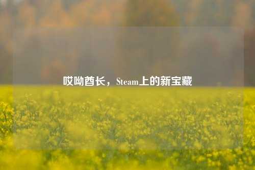 哎呦酋长，Steam上的新宝藏