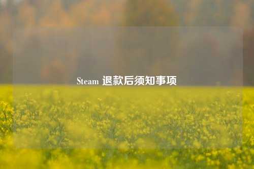Steam 退款后须知事项