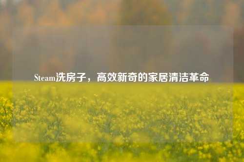 Steam洗房子，高效新奇的家居清洁革命