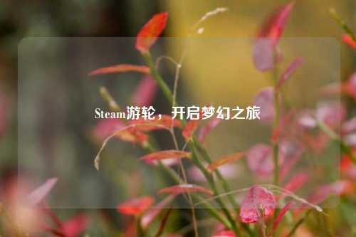 Steam游轮，开启梦幻之旅