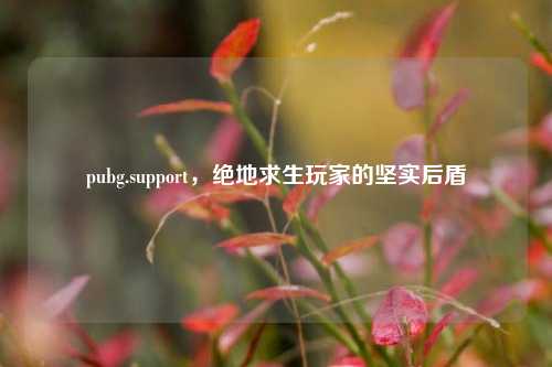 pubg.support，绝地求生玩家的坚实后盾