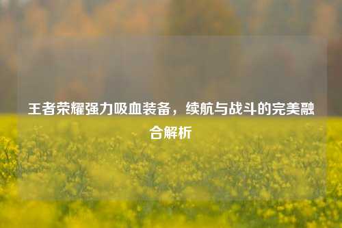 王者荣耀强力吸血装备，续航与战斗的完美融合解析