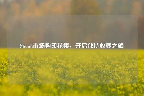 Steam市场购印花集，开启独特收藏之旅