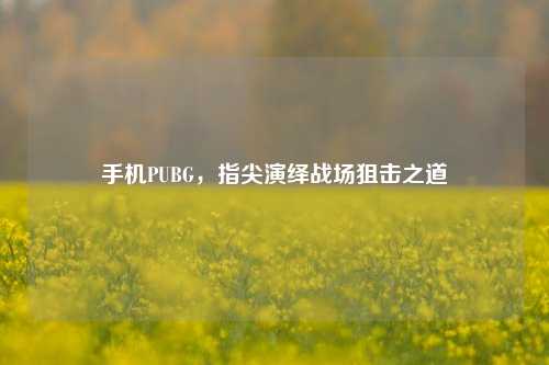 手机PUBG，指尖演绎战场狙击之道