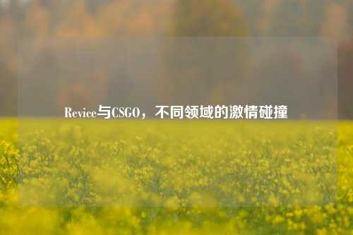 Revice与CSGO，不同领域的激情碰撞
