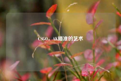 CSGO，AK瞄准的艺术