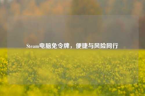 Steam电脑免令牌，便捷与风险同行