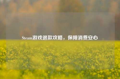 Steam游戏退款攻略，保障消费安心