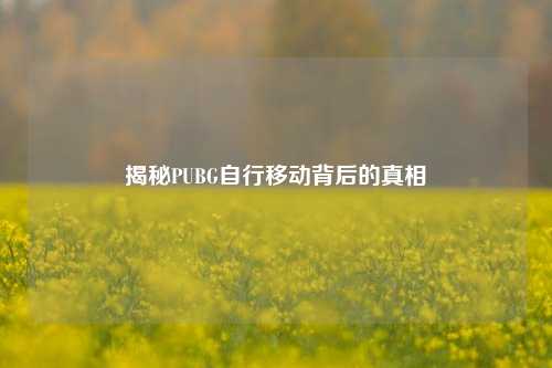 揭秘PUBG自行移动背后的真相