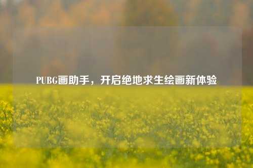 PUBG画助手，开启绝地求生绘画新体验