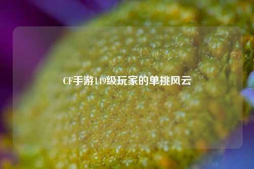 CF手游149级玩家的单挑风云