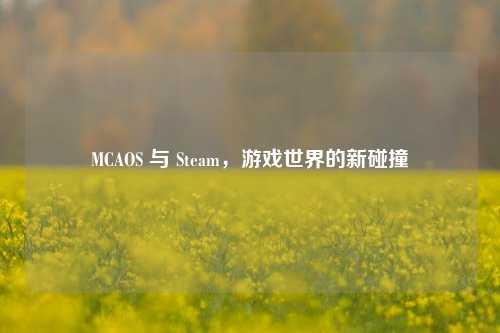 MCAOS 与 Steam，游戏世界的新碰撞