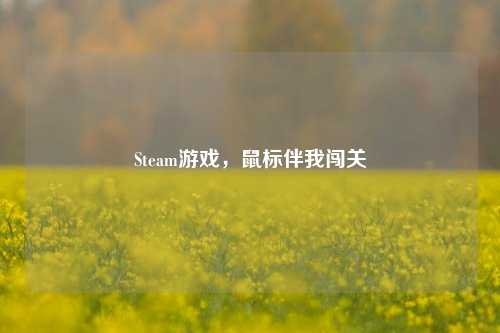 Steam游戏，鼠标伴我闯关