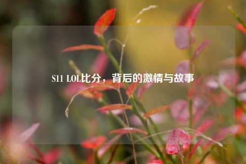 S11 LOL比分，背后的激情与故事