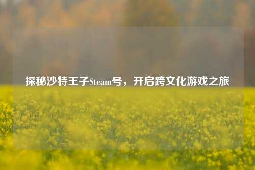 探秘沙特王子Steam号，开启跨文化游戏之旅