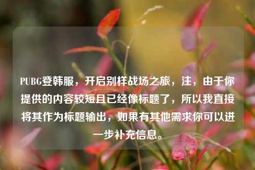 PUBG登韩服，开启别样战场之旅，注，由于你提供的内容较短且已经像标题了，所以我直接将其作为标题输出，如果有其他需求你可以进一步补充信息。