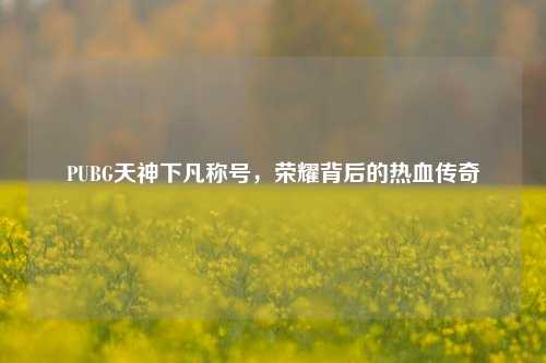 PUBG天神下凡称号，荣耀背后的热血传奇