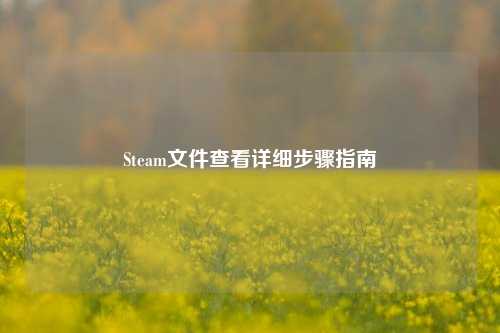 Steam文件查看详细步骤指南