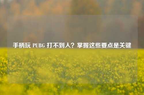 手柄玩 PUBG 打不到人？掌握这些要点是关键