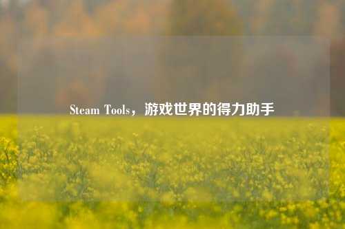 Steam Tools，游戏世界的得力助手