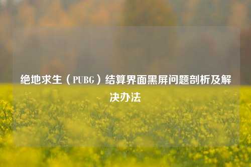 绝地求生（PUBG）结算界面黑屏问题剖析及解决办法