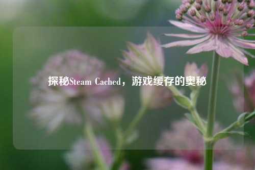 探秘Steam Cached，游戏缓存的奥秘