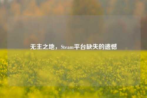 无主之地，Steam平台缺失的遗憾