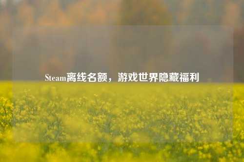 Steam离线名额，游戏世界隐藏福利