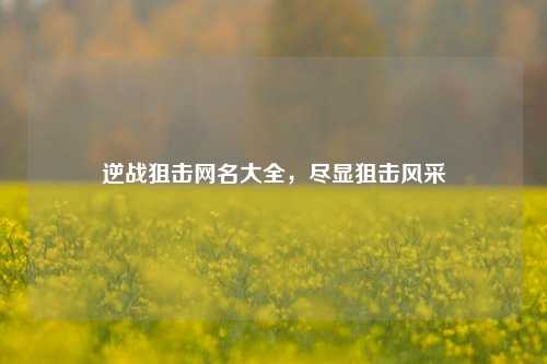 逆战狙击网名大全，尽显狙击风采