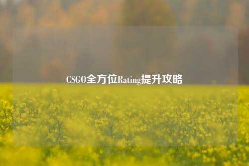 CSGO全方位Rating提升攻略