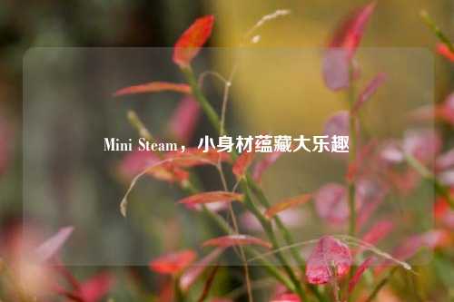 Mini Steam，小身材蕴藏大乐趣