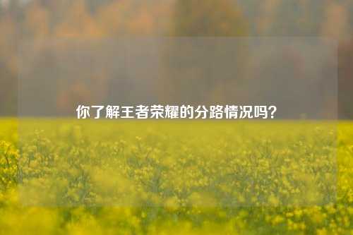 你了解王者荣耀的分路情况吗？