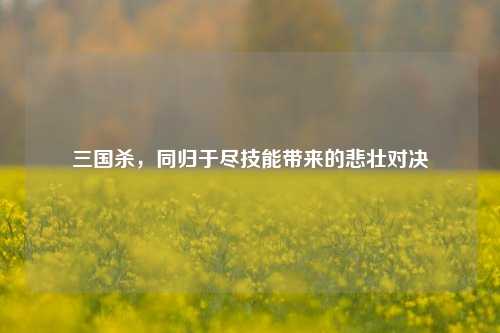 三国杀，同归于尽技能带来的悲壮对决