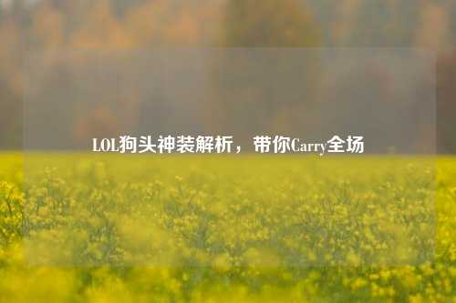 LOL狗头神装解析，带你Carry全场