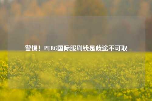 警惕！PUBG国际服刷钱是歧途不可取