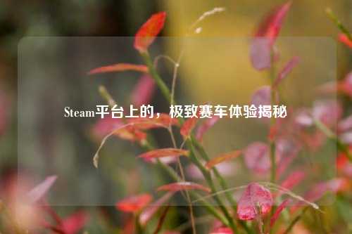 Steam平台上的，极致赛车体验揭秘
