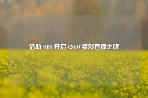 借助 OBS 开启 CSGO 精彩直播之旅