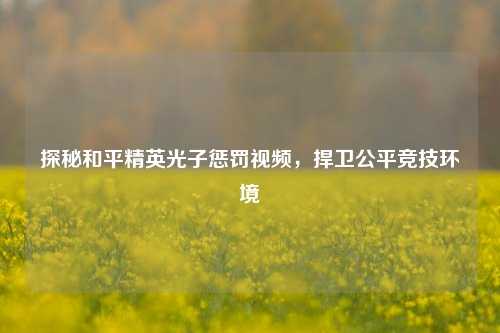 探秘和平精英光子惩罚视频，捍卫公平竞技环境