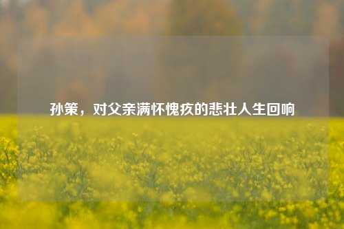 孙策，对父亲满怀愧疚的悲壮人生回响