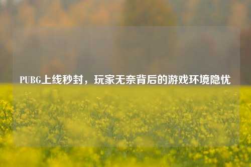 PUBG上线秒封，玩家无奈背后的游戏环境隐忧