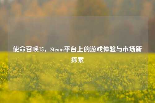 使命召唤15，Steam平台上的游戏体验与市场新探索