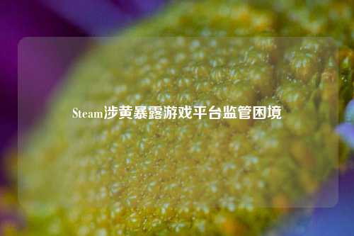 Steam涉黄暴露游戏平台监管困境