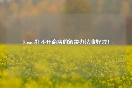 Steam打不开商店的解决办法收好啦！