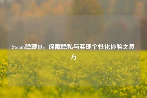 Steam隐藏ID，保障隐私与实现个性化体验之良方
